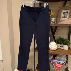 LOFT Navy Skinny Pants